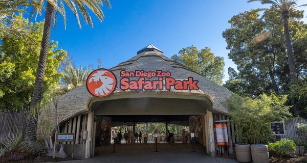 San Diego Zoo Safari Park Tickets