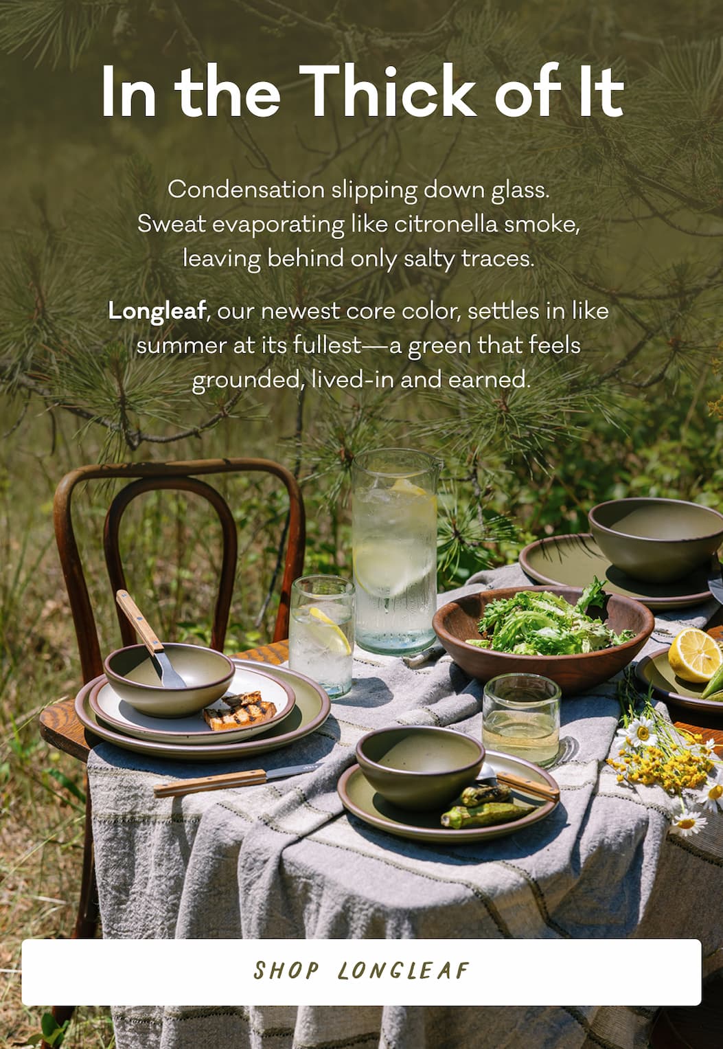 In the Thick of It Condensation slipping down glass.  Sweat evaporating like citronella smoke,  leaving behind only salty traces.  Longleaf, our newest core color, settles in like  summer at its fullest—a green that feels  grounded, lived-in, and earned. Shop Longleaf