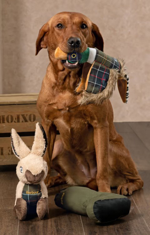 Gifts for Dogs
