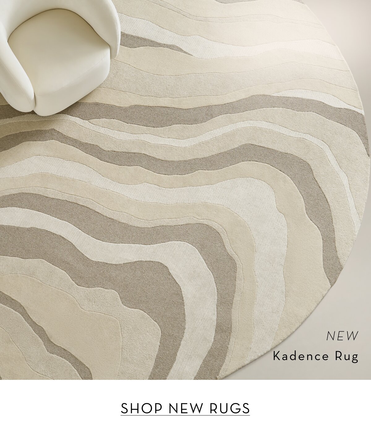 Shop New Rugs