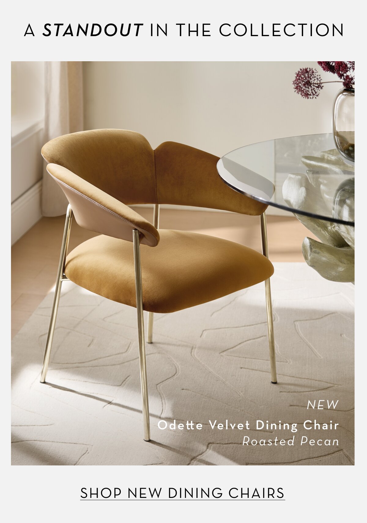 Shop New Dining Chairs