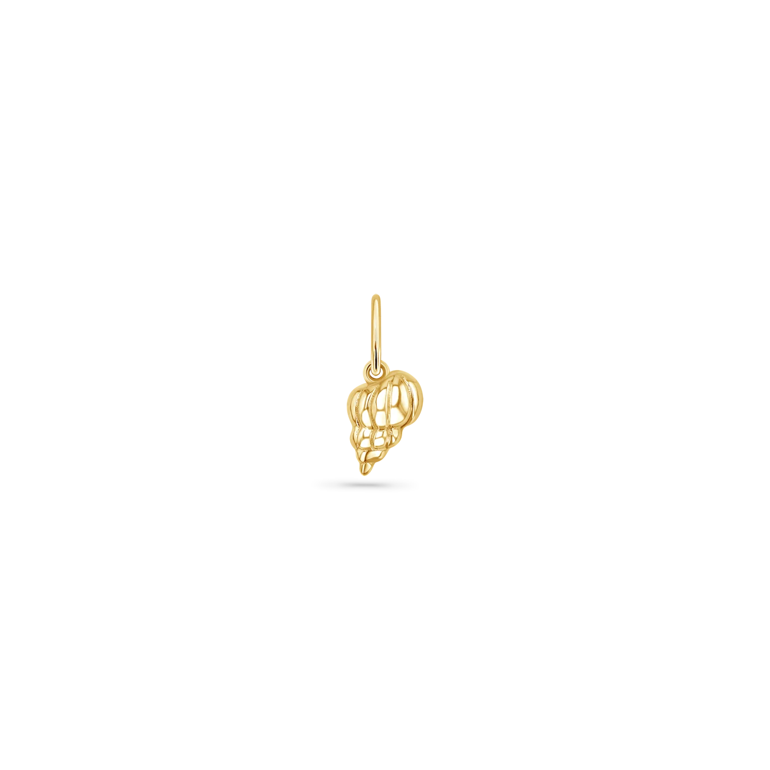 Image of Soleil Tulip Seashell Charm