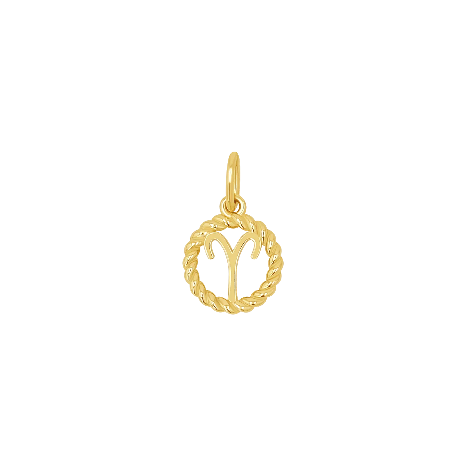 Image of Zodiac Twist Medallion Charm