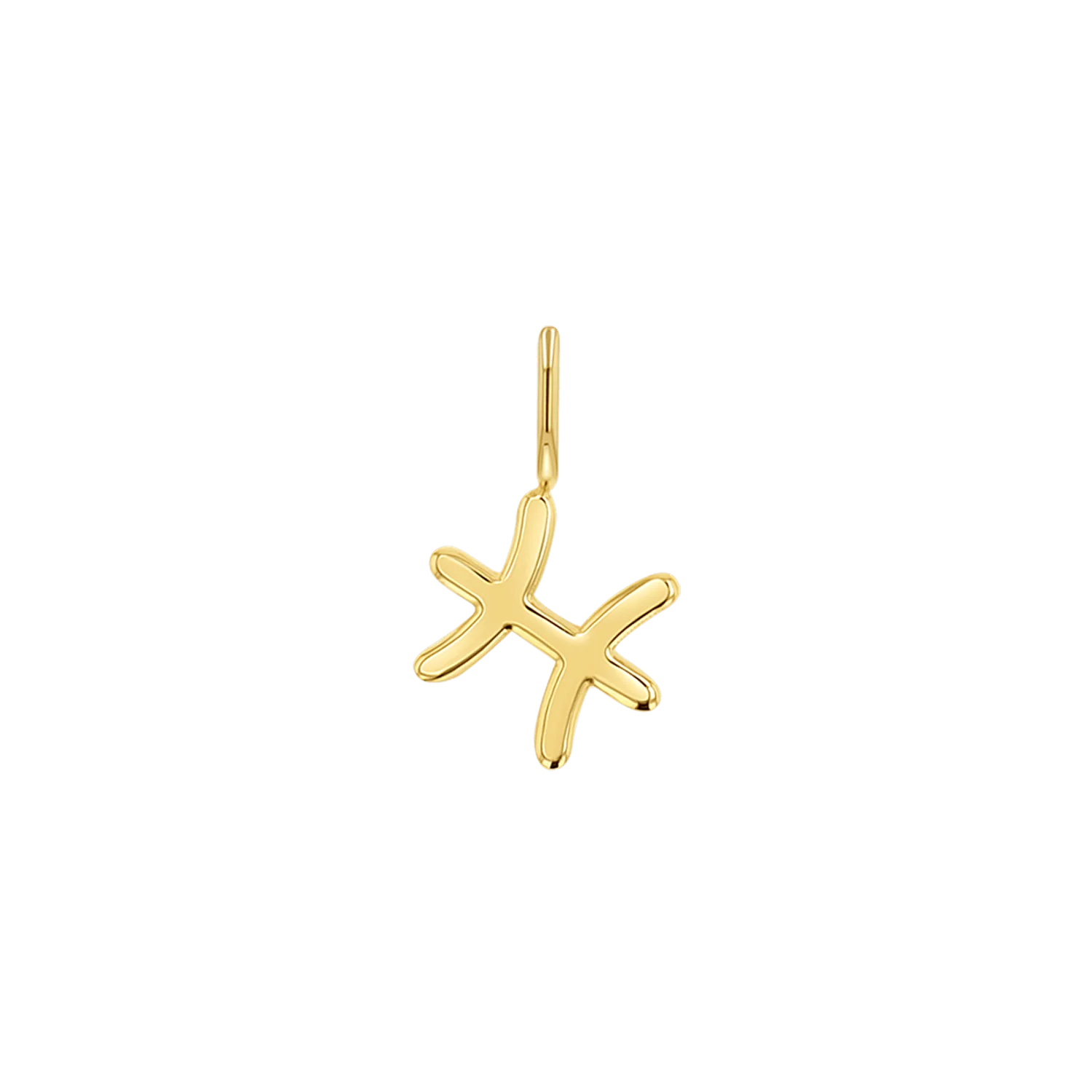 Image of Zodiac Charm