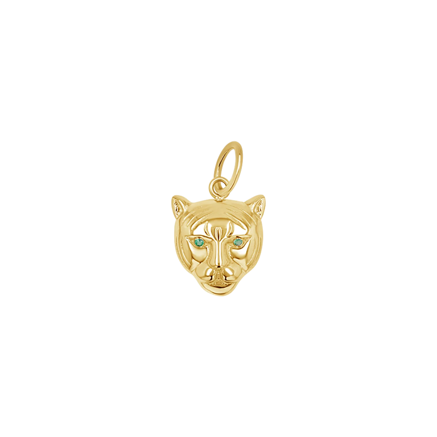 Image of Protective Tiger Charm