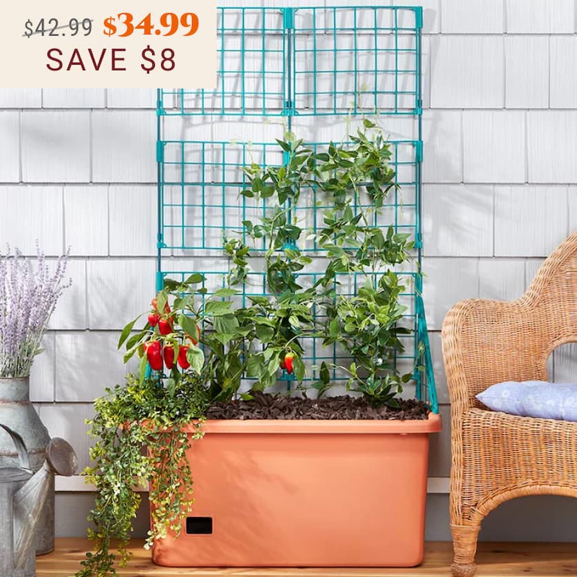 Vegetable Planter With Wheels And Trellis - 58 Inch Self Watering
