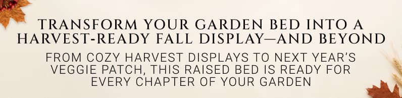 Harvest-ready fall display