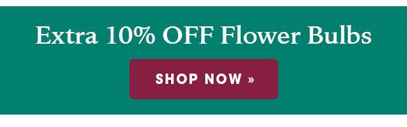 EXTENDED ONE DAY: 30% OFF Irises