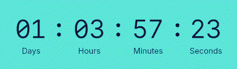 Sale Timer