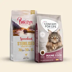 Dry Food