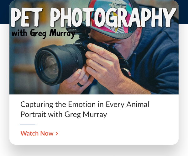 Capturing the Emotion in Every Animal Portrait with Greg Murray