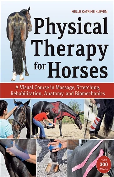 Physical Therapy for Horses, by Helle Katrine Kleven