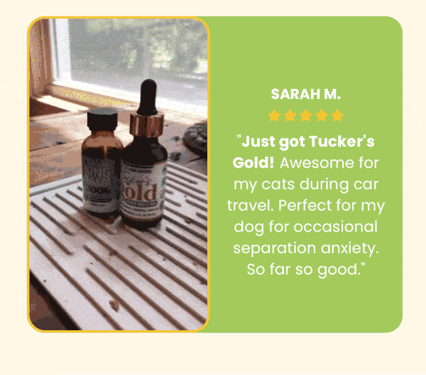 "Just got Tucker's Gold! Awesome for my cats during car travel. Perfect for my dog for occasional separation anxiety. So far so good." — Sarah M.