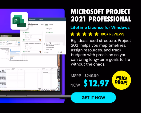 Microsoft Project 2021 Professional: Lifetime License for Windows