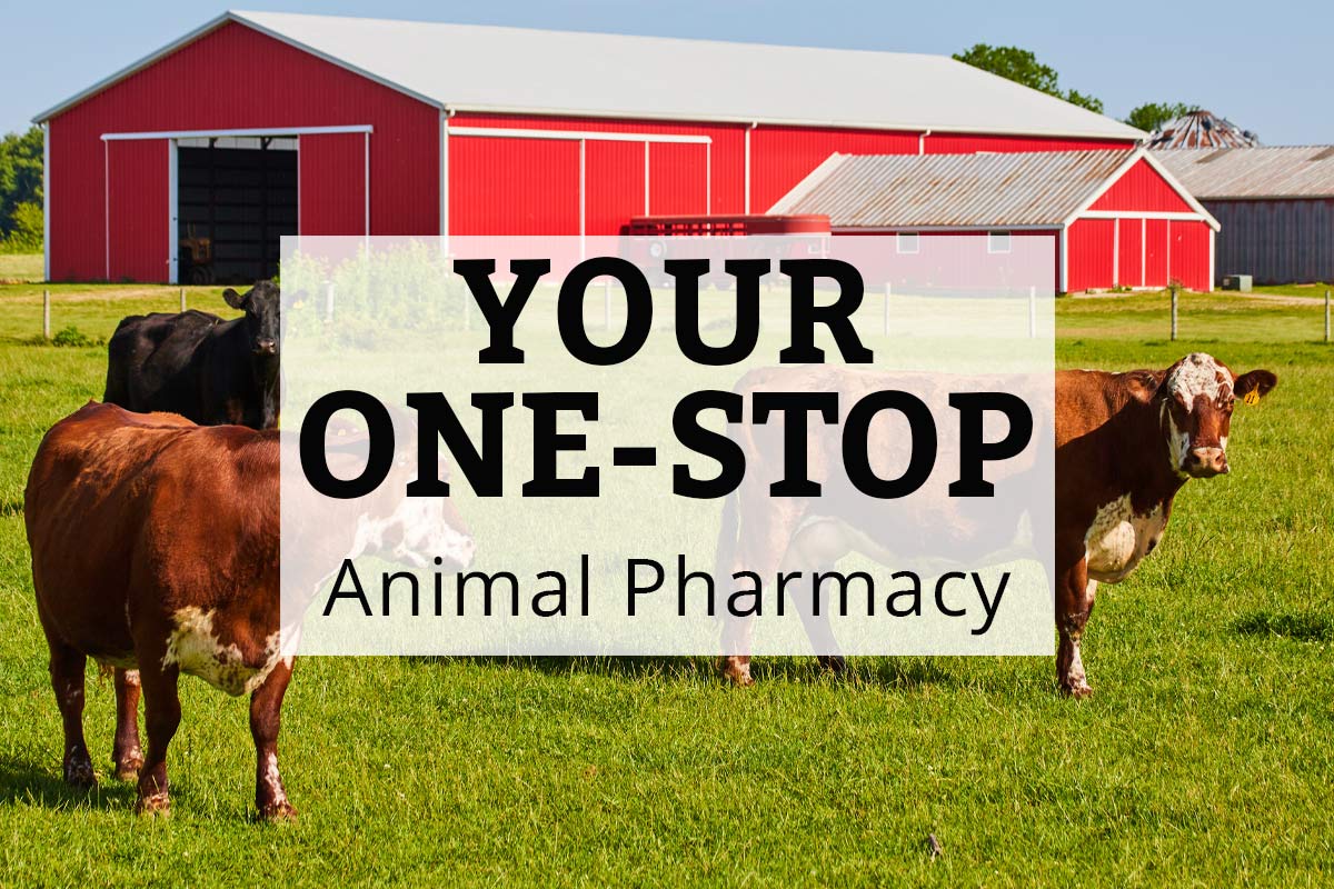 Your One-Stop Animal Pharmacy