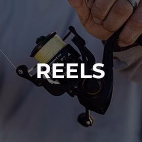reels