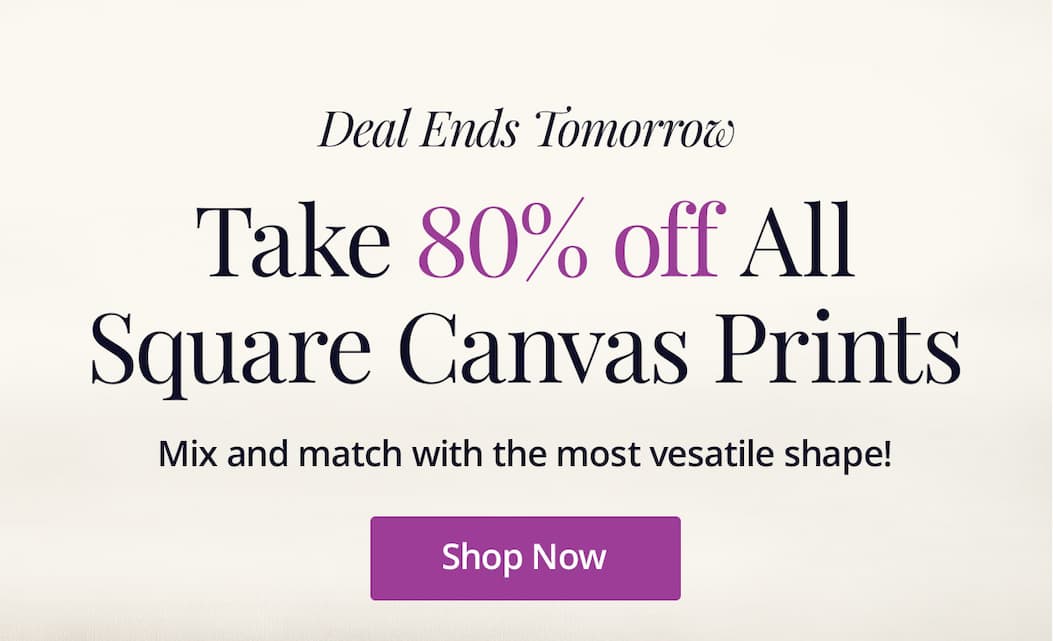 Deal ends tomorrow! Take 80% off all square Canvas Prints! Mix and match with the most versatile shape! Shop Now