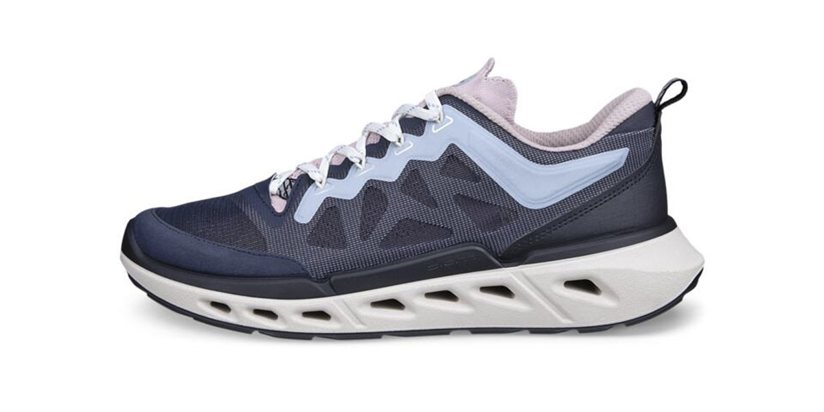 BIOM 720