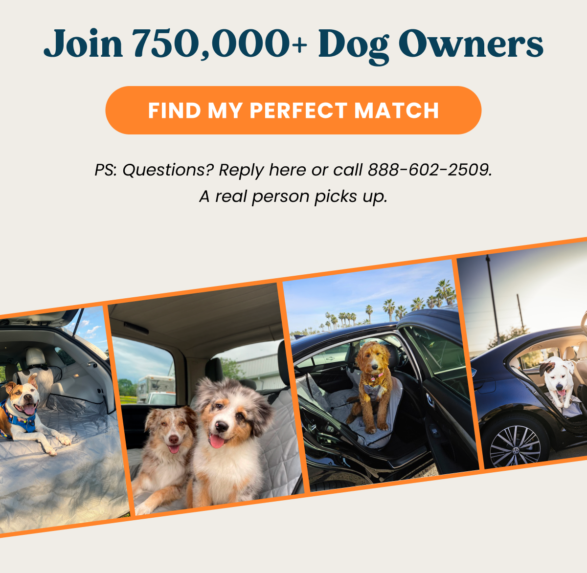 FIND MY PERFECT MATCH