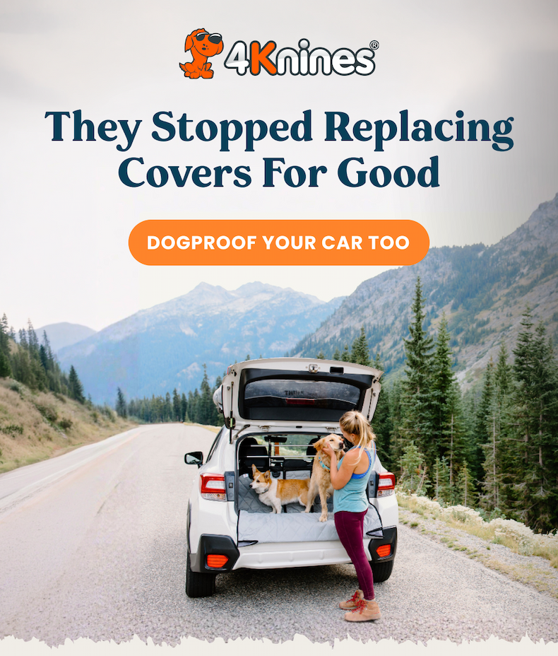 DOGPROOF YOUR CAR TOO