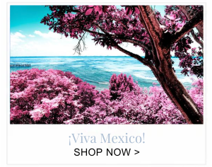 Viva Mexico - Shop Now