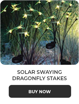 Solar Swaying Dragonfly Stakes