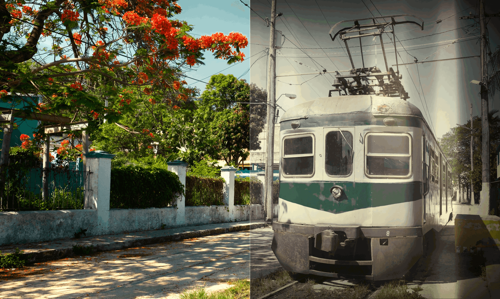 Comparison Tram