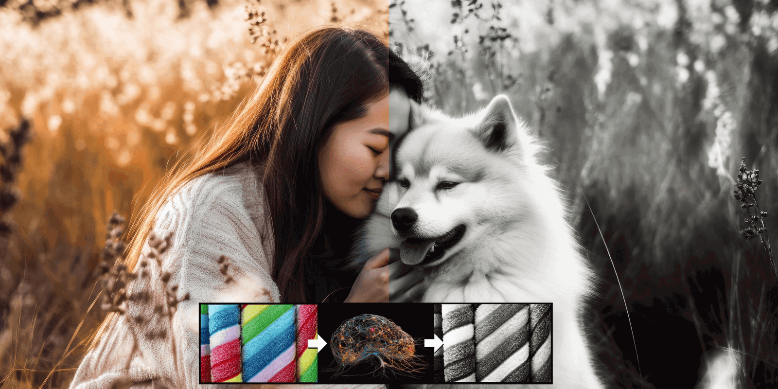 Comparison Dog