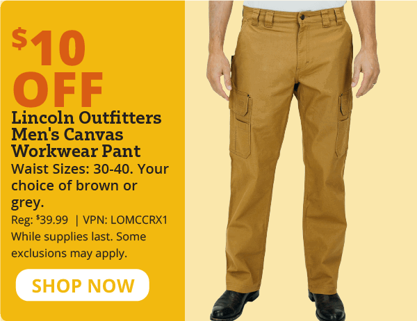 $10 off lo canvas workwear pant