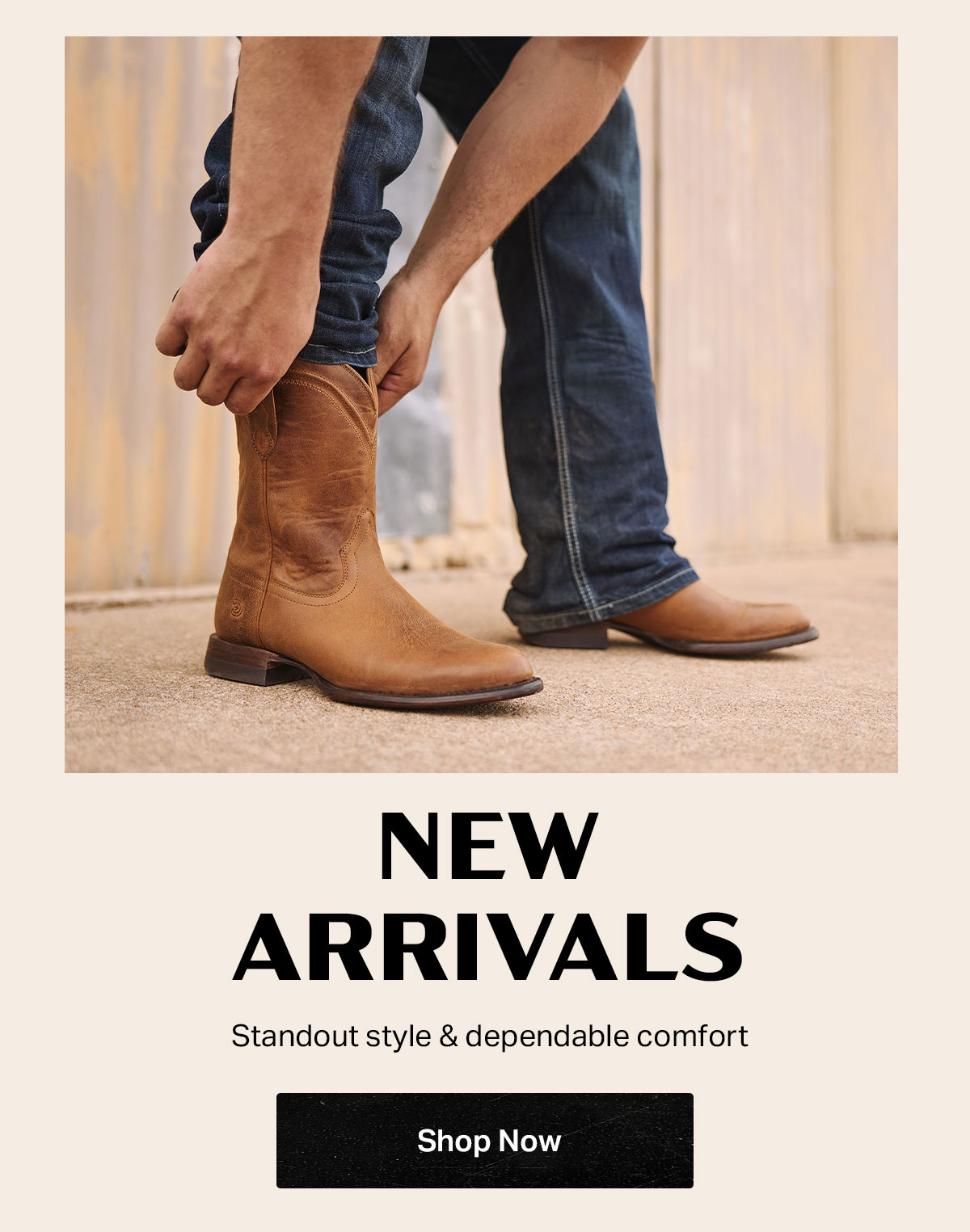 New Arrivals