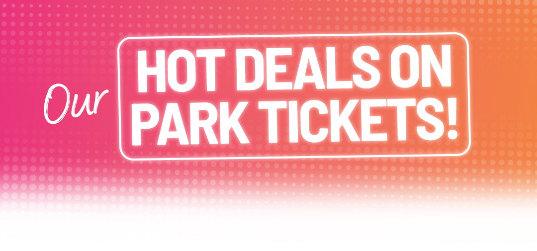 Hot Deals