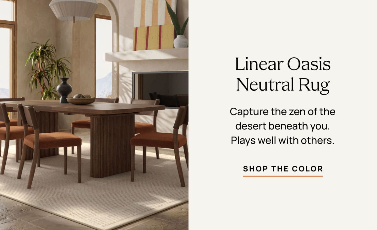 Linear Oasis Neutral Rug | Shop The Color 