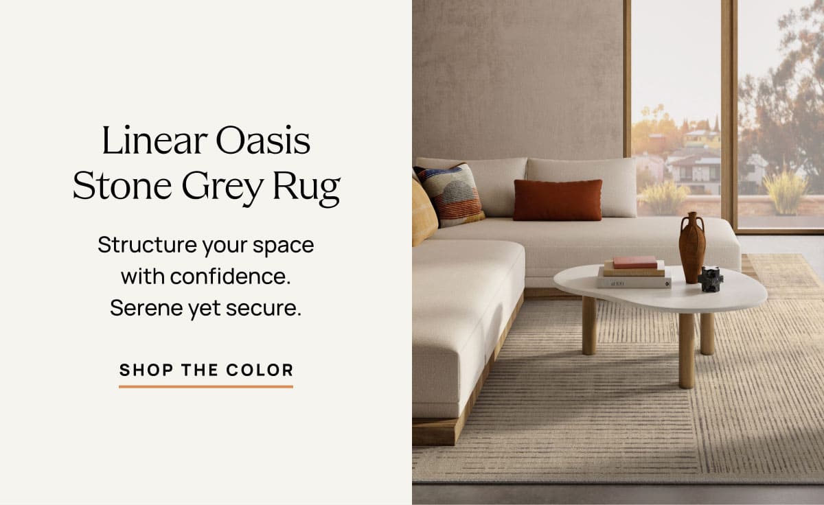 Linear Oasis Stone Grey Rug | Shop The Color 