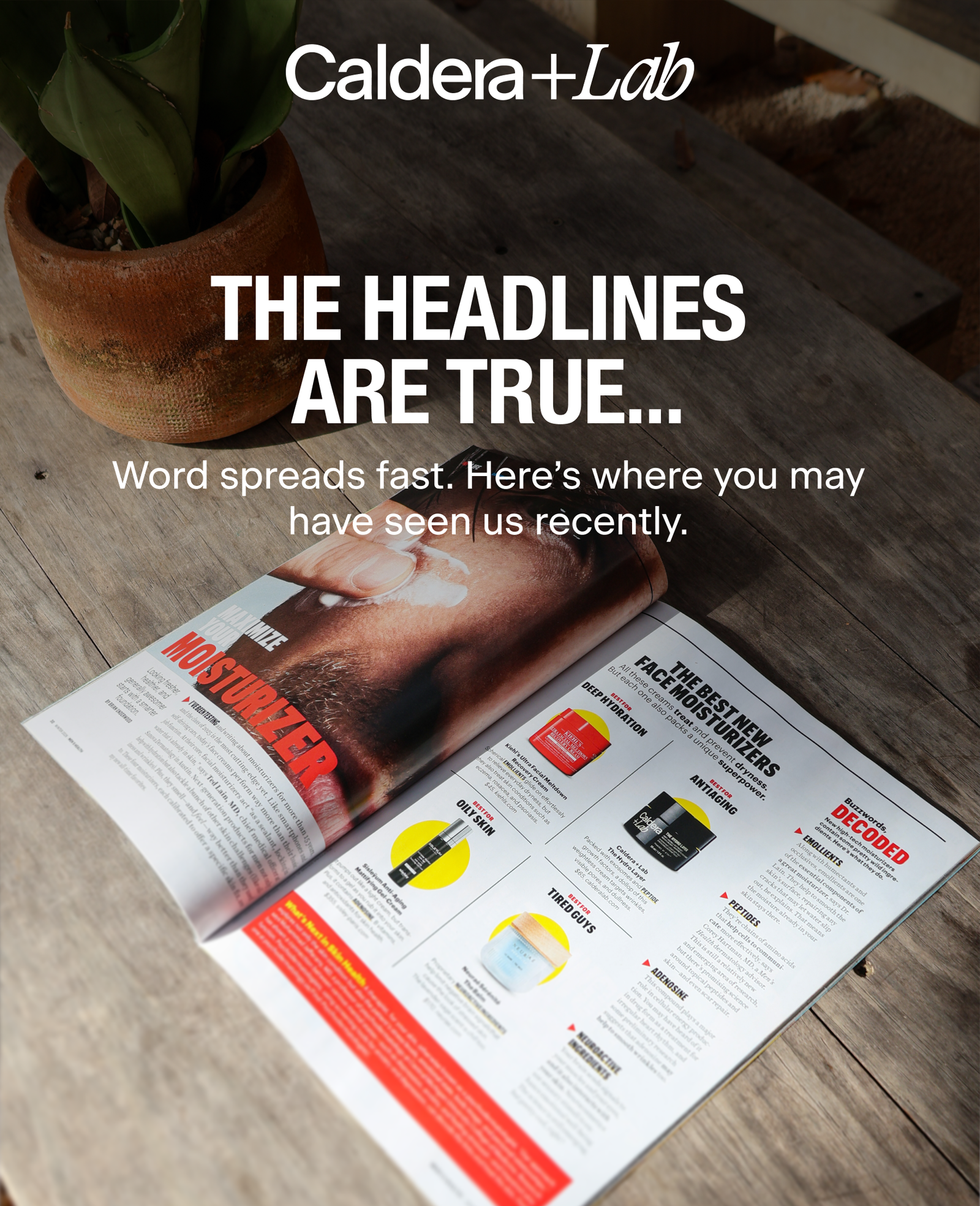 THE HEADLINES ARE TRUE... | Word spreads fast. Here's where you may have seen us recently.