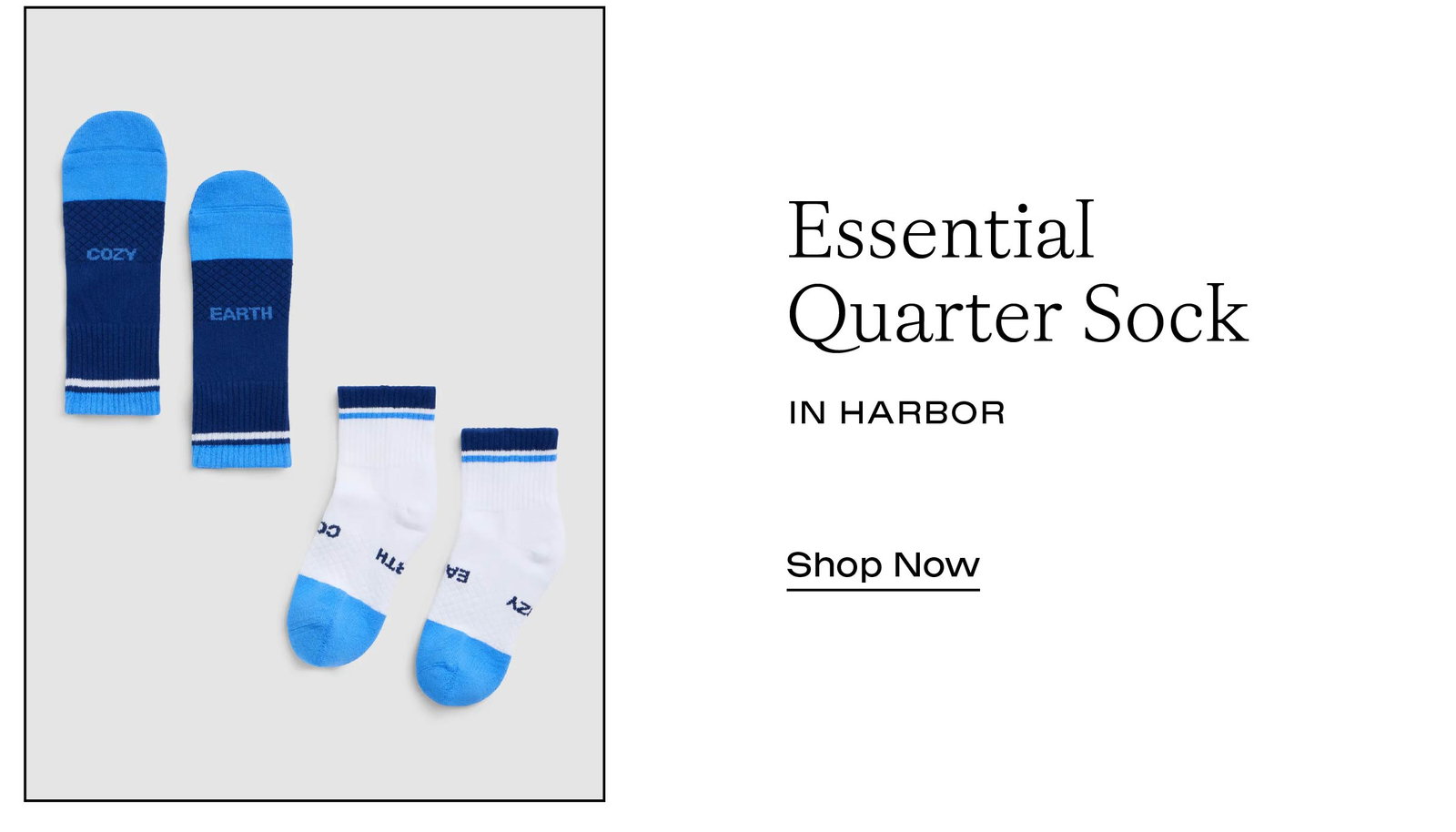 ESSENTIAL QUARTER SOCK IN HARBOR