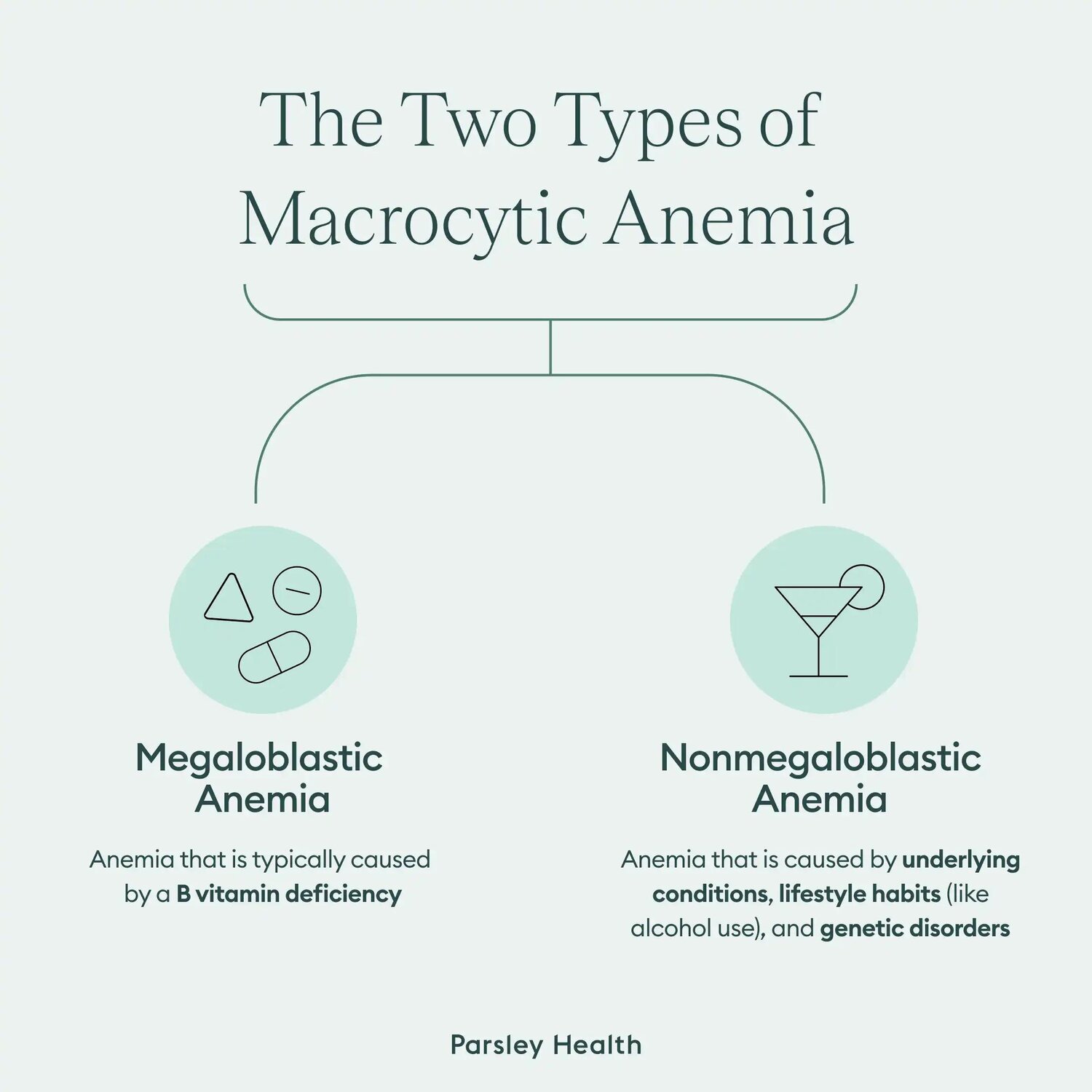 Two types of Macrocytic Anemia: Megaloblastic Anemia, Nonmegaloblastic Anemia