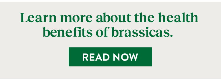 Brassica Health Benefits