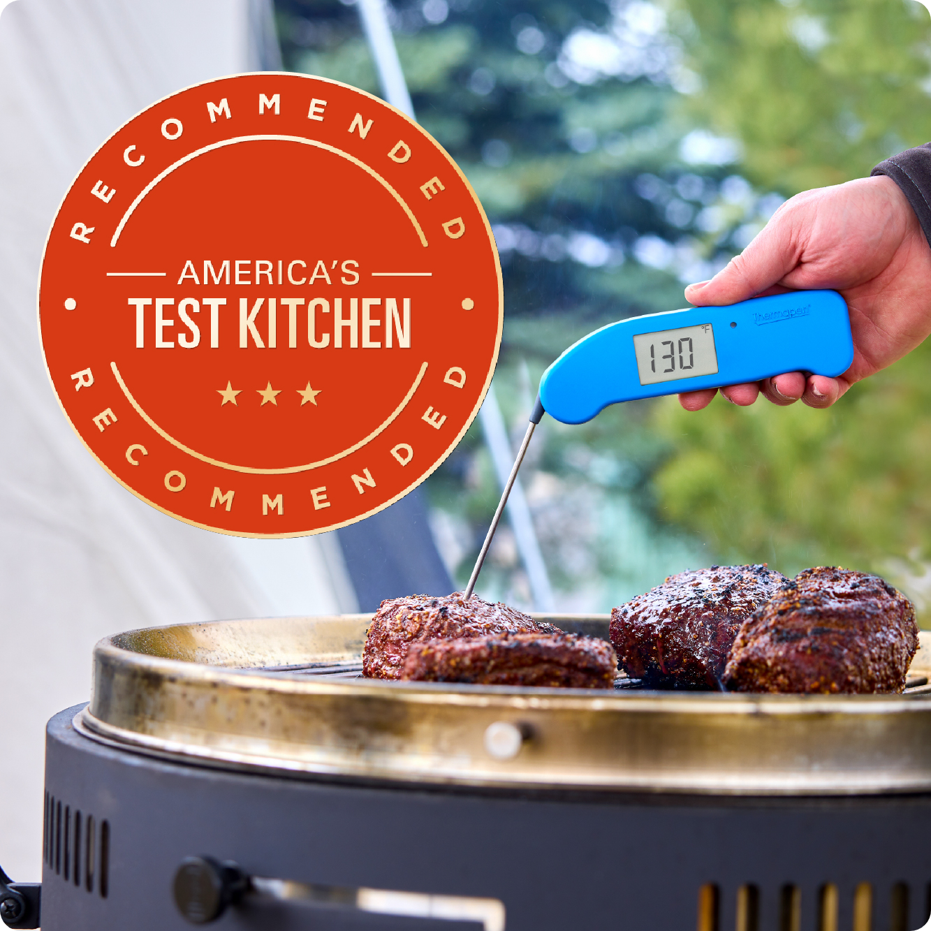 America's Test Kitchen Winner: Thermapen ONE
