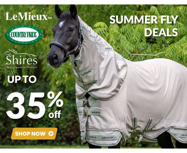 August fly wear sale