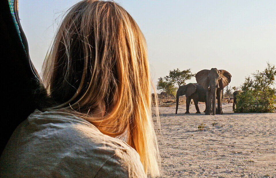 Nos idées de voyage safari Afrique