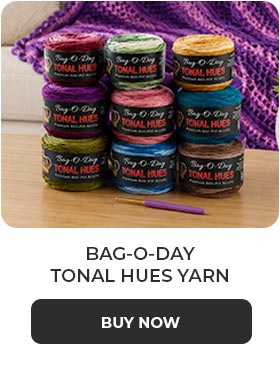 Bag-O-Day Tonal Hues Yarn