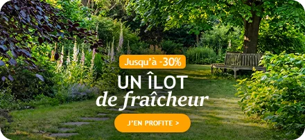 Un îlot de fraîcheur jusqu’à -30% de remise !