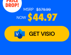Microsoft Visio or Project 2024 Professional: Lifetime License for Windows