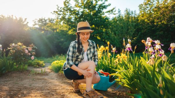  Quelle est la méthode naturelle efficace pour éloigner les moustiques ?