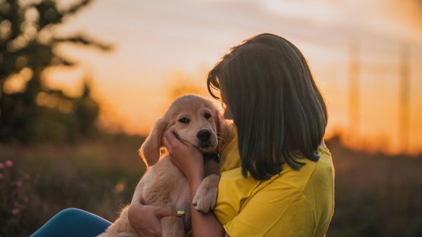 Les meilleures croquettes pour chiot testées: notre top 15