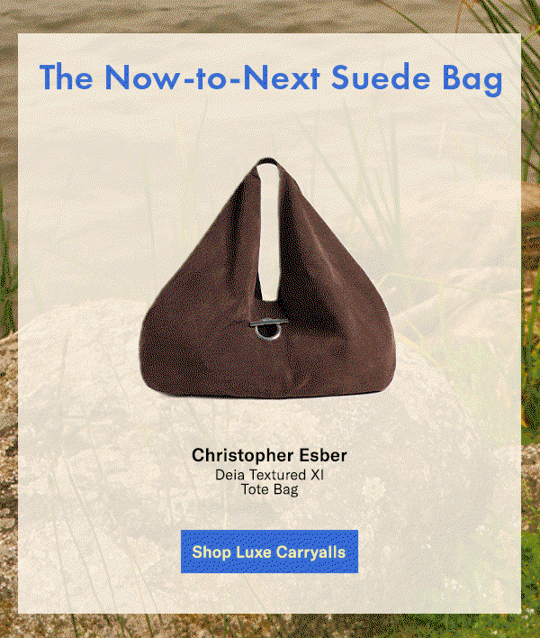 The Now-to-Next Suede BAg