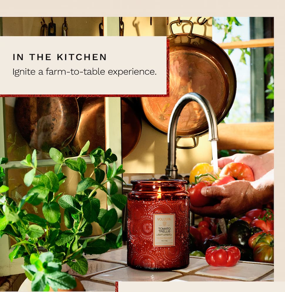 In the Kitchen