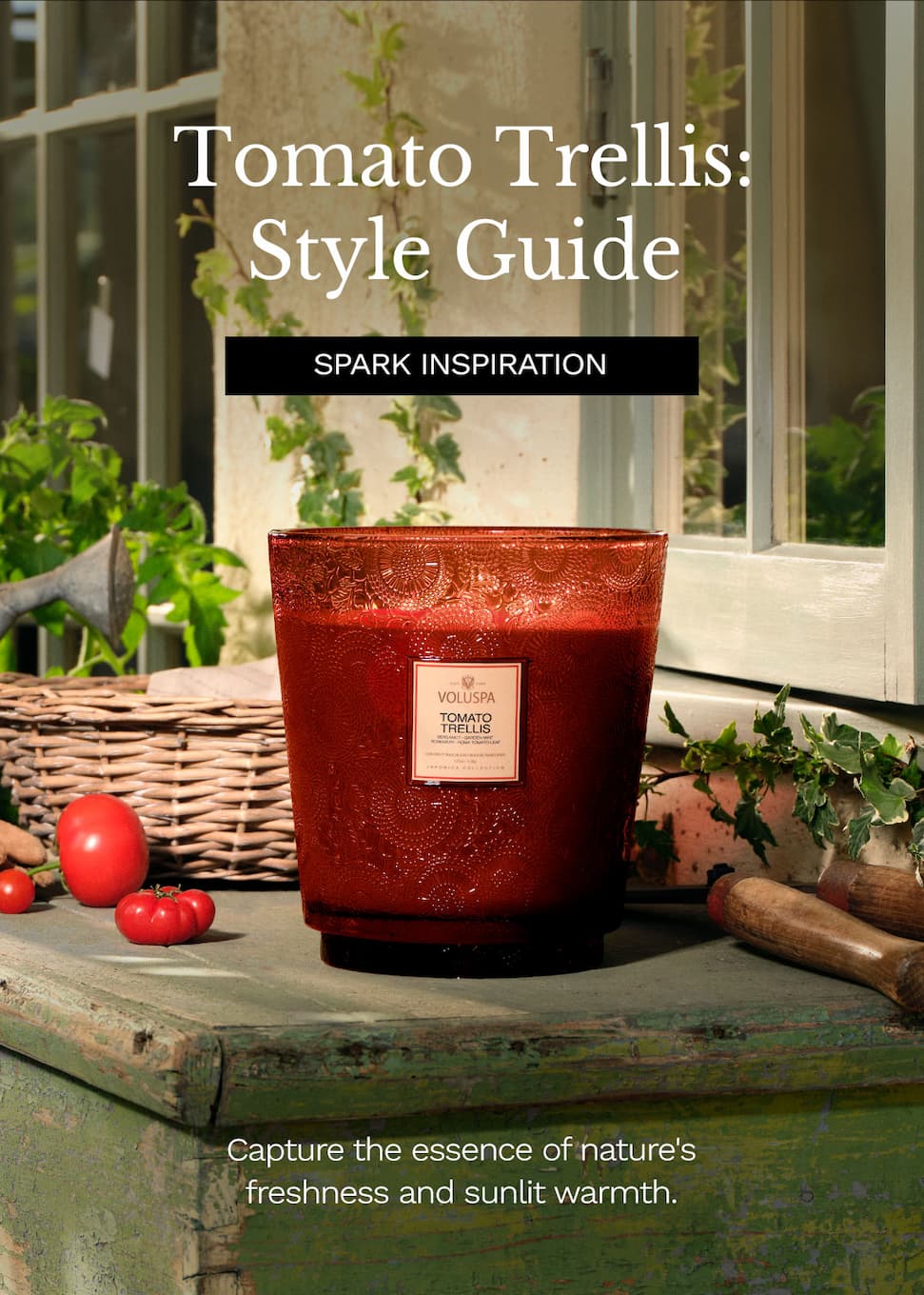 Tomato Trellis: Style Guide