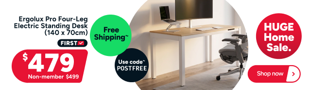 Ergolux Pro Four-Leg Electric Standing Desk (140 x 70cm)