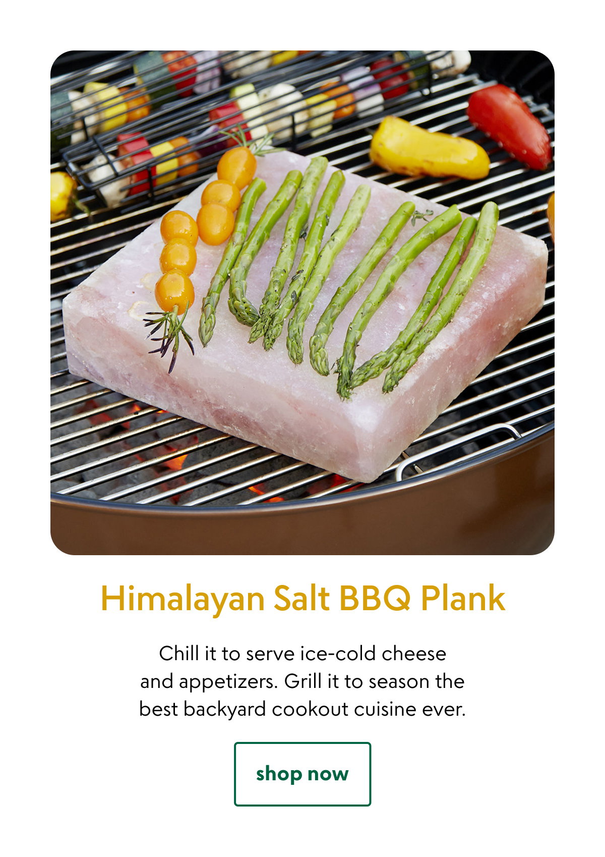 himalayan-salt-bbq-plank